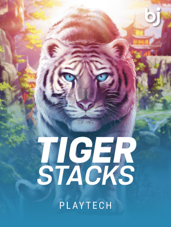 Tiger Stacks screenshot